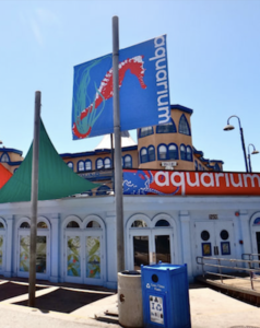 Santa Monica Pier Aquarium